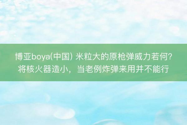 博亚boya(中国) 米粒大的原枪弹威力若何?将核火器造小,当老例炸弹来用并不能行