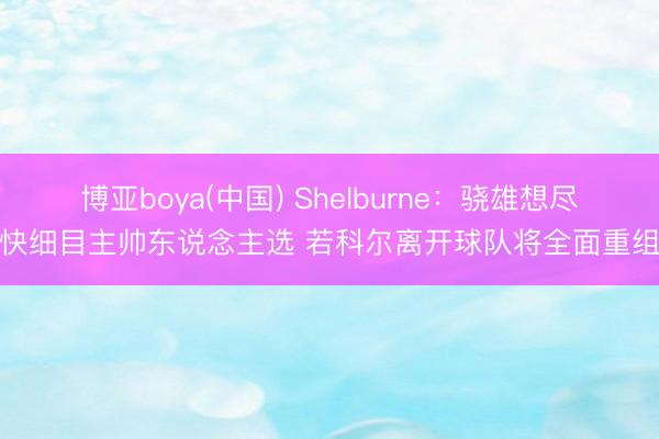 博亚boya(中国) Shelburne：骁雄想尽快细目主帅东说念主选 若科尔离开球队将全面重组