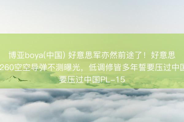 博亚boya(中国) 好意思军亦然前途了！好意思国AIM-260空空导弹不测曝光，低调修皆多年誓要压过中国PL-15