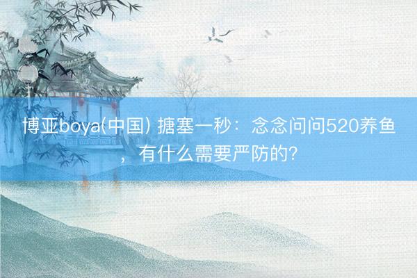博亚boya(中国) 搪塞一秒：念念问问520养鱼，有什么需要严防的？