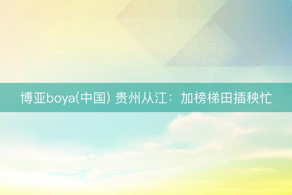 博亚boya(中国) 贵州从江：加榜梯田插秧忙