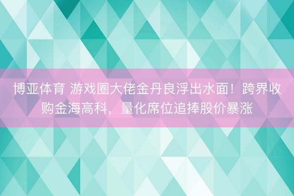 博亚体育 游戏圈大佬金丹良浮出水面！跨界收购金海高科，量化席位追捧股价暴涨
