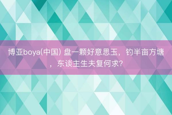 博亚boya(中国) 盘一颗好意思玉,钓半亩方塘,东谈主生夫复何求?