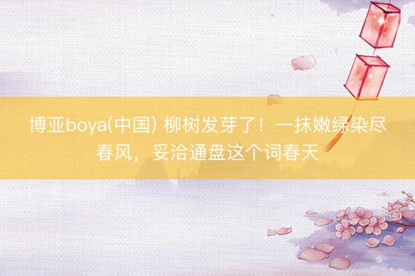 博亚boya(中国) 柳树发芽了！一抹嫩绿染尽春风，妥洽通盘这个词春天
