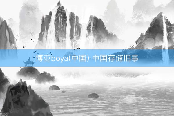 博亚boya(中国) 中国存储旧事