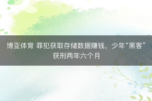 博亚体育 罪犯获取存储数据赚钱，少年“黑客”获刑两年六个月