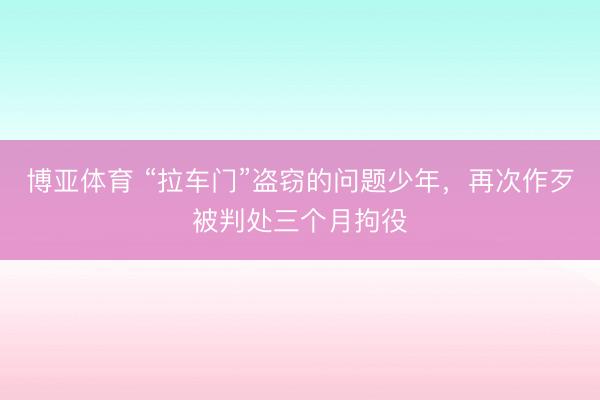 博亚体育 “拉车门”盗窃的问题少年,再次作歹被判处三个月拘役