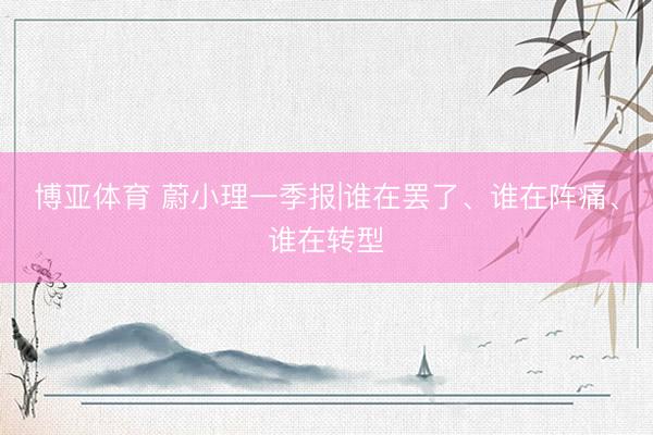 博亚体育 蔚小理一季报|谁在罢了、谁在阵痛、谁在转型