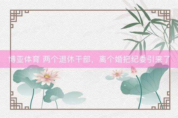 博亚体育 两个退休干部，离个婚把纪委引来了