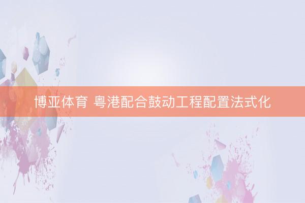 博亚体育 粤港配合鼓动工程配置法式化
